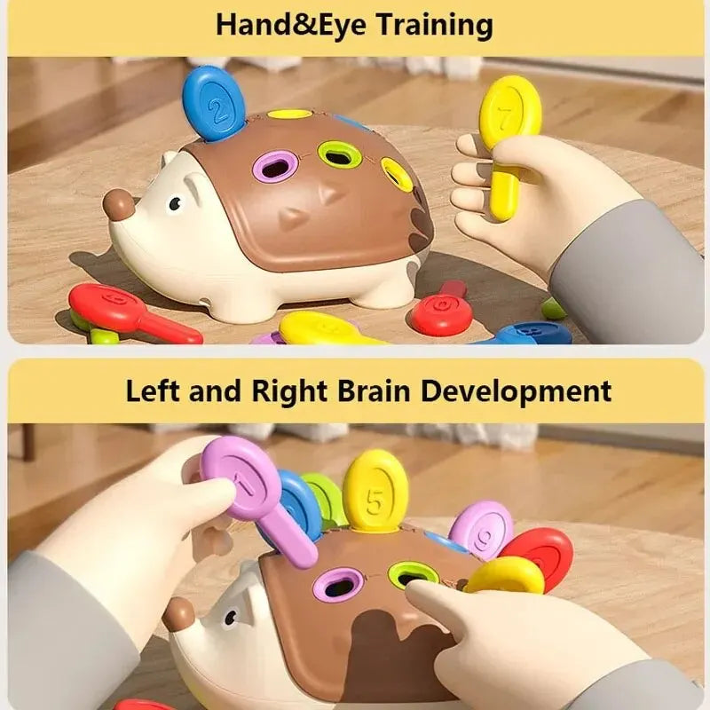 Baby Hedgehog Concentration Toy - infant2eleven